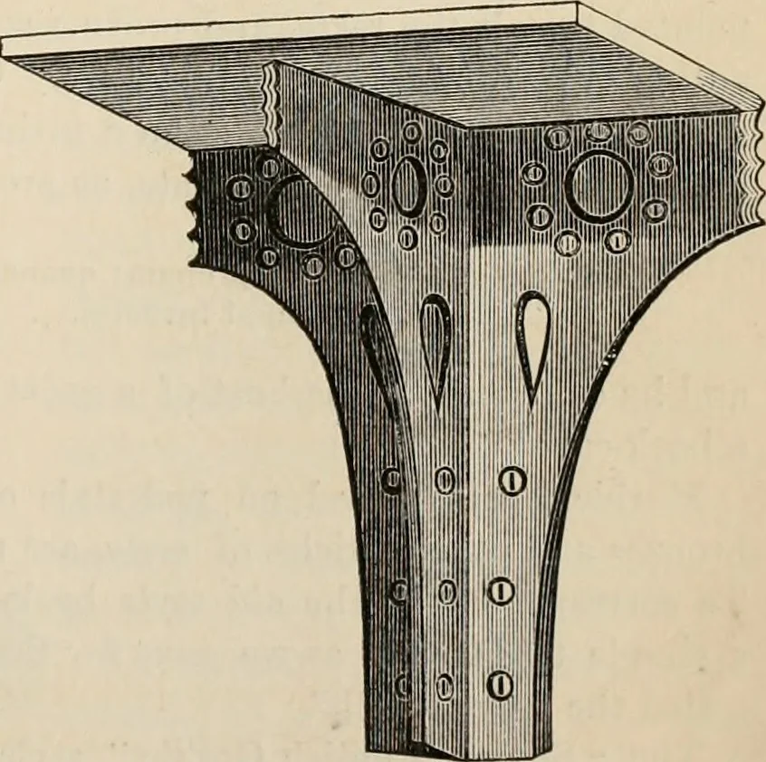 An illustration from Beautiful homes. Or, Hints in house furnishing, 1878, leaf 142