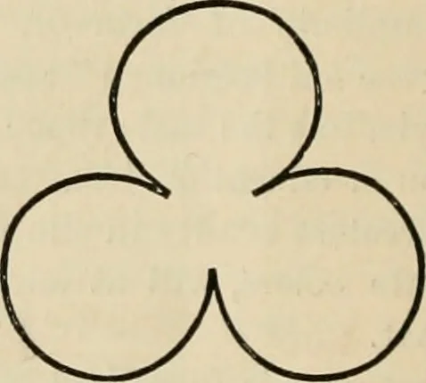 An illustration from Beautiful homes. Or, Hints in house furnishing, 1878, leaf 145