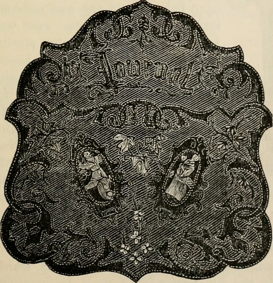 An illustration from Beautiful homes. Or, Hints in house furnishing, 1878, leaf 156