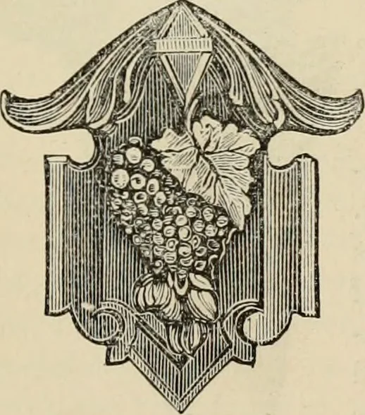 An illustration from Beautiful homes. Or, Hints in house furnishing, 1878, leaf 172