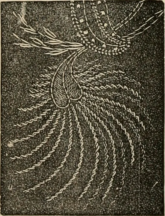 An illustration from Beautiful homes. Or, Hints in house furnishing, 1878, leaf 201