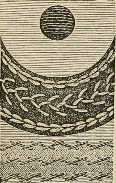 An illustration from Beautiful homes. Or, Hints in house furnishing, 1878, leaf 203