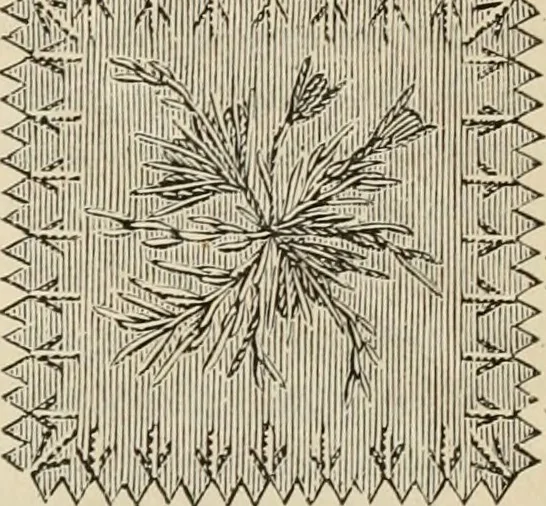 An illustration from Beautiful homes. Or, Hints in house furnishing, 1878, leaf 204
