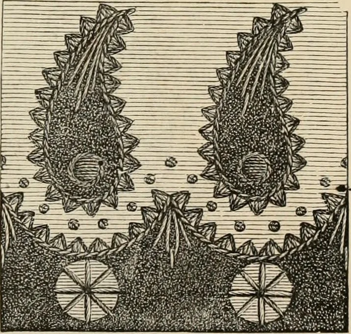 An illustration from Beautiful homes. Or, Hints in house furnishing, 1878, leaf 206