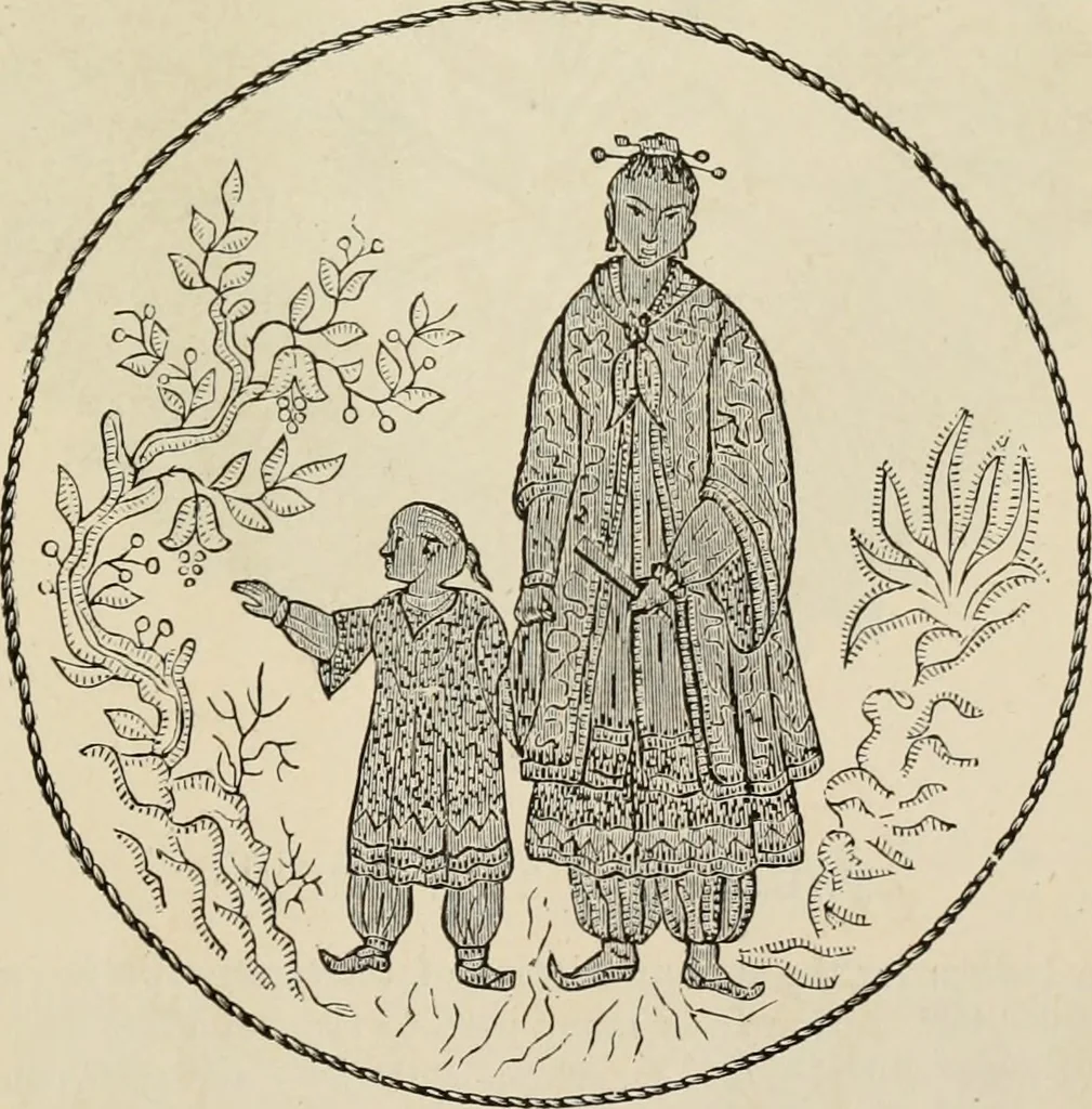 An illustration from Beautiful homes. Or, Hints in house furnishing, 1878, leaf 208