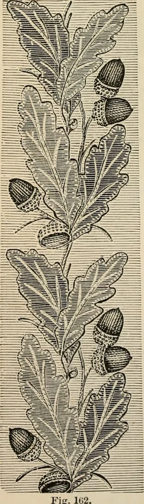 An illustration from Beautiful homes. Or, Hints in house furnishing, 1878, leaf 211