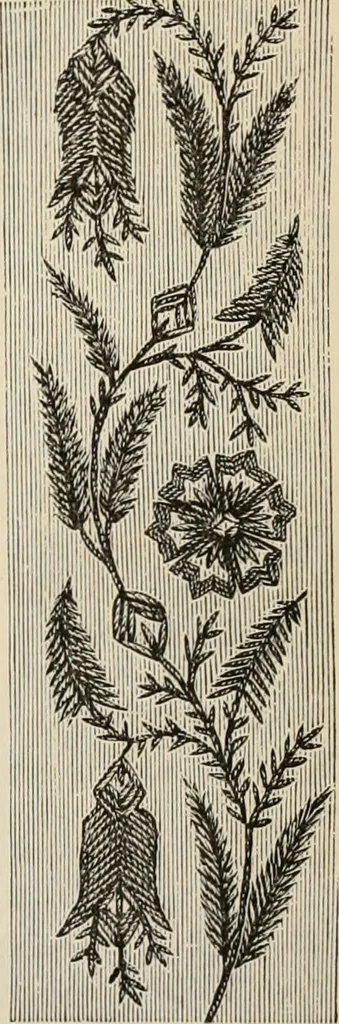An illustration from Beautiful homes. Or, Hints in house furnishing, 1878, leaf 218