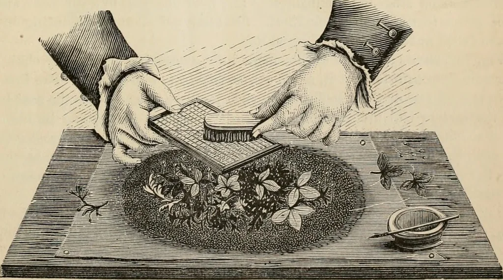 An illustration from Beautiful homes. Or, Hints in house furnishing, 1878, leaf 224