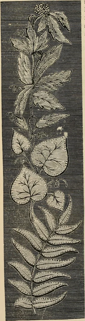 An illustration from Beautiful homes. Or, Hints in house furnishing, 1878, leaf 257