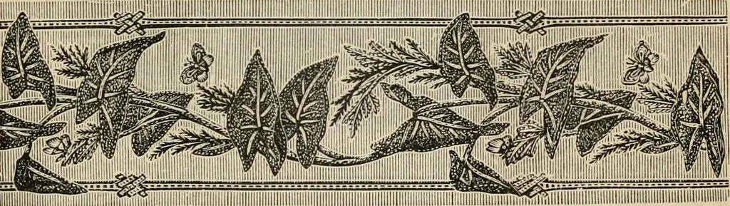 An illustration from Beautiful homes. Or, Hints in house furnishing, 1878, leaf 258