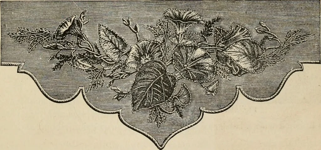 An illustration from Beautiful homes. Or, Hints in house furnishing, 1878, leaf 258