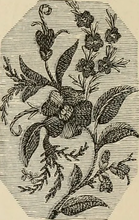 An illustration from Beautiful homes. Or, Hints in house furnishing, 1878, leaf 280