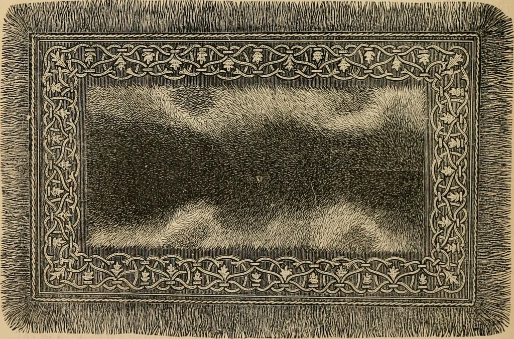 An illustration from Beautiful homes. Or, Hints in house furnishing, 1878, leaf 315