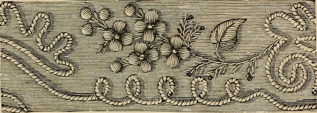 An illustration from Beautiful homes. Or, Hints in house furnishing, 1878, leaf 322