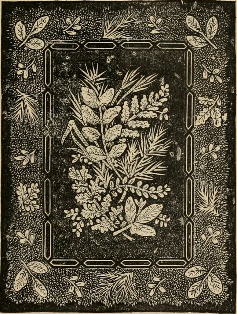 An illustration from Beautiful homes. Or, Hints in house furnishing, 1878, leaf 326