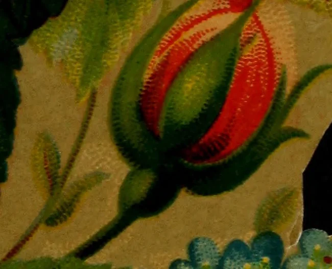 An illustration from Beautiful homes : or, Hints in house furnishing, 1878, leaf 114