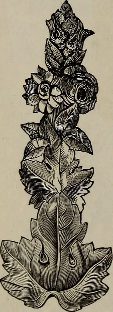 An illustration from Beautiful homes : or, Hints in house furnishing, 1878, leaf 123