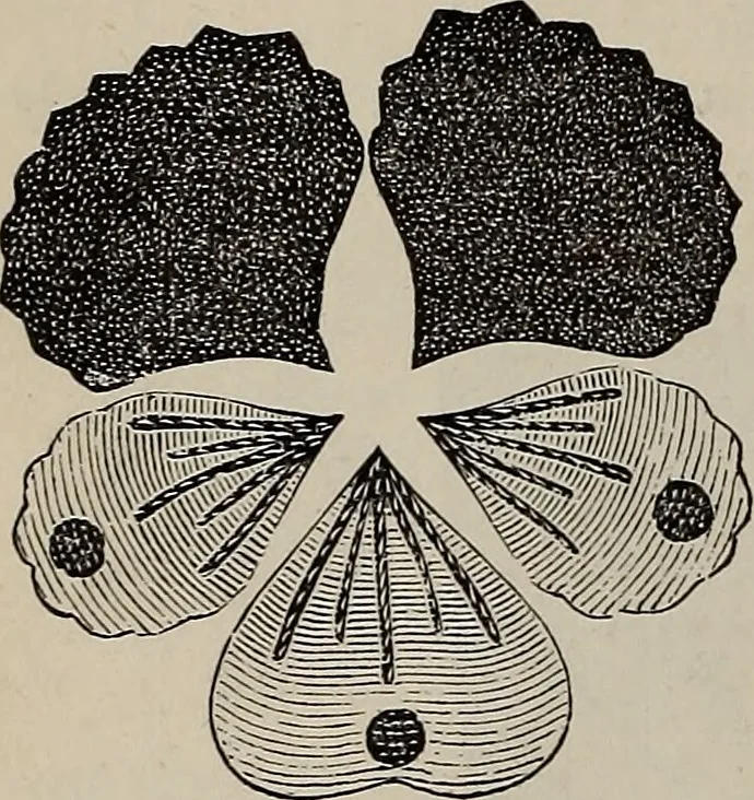 An illustration from Beautiful homes : or, Hints in house furnishing, 1878, leaf 125