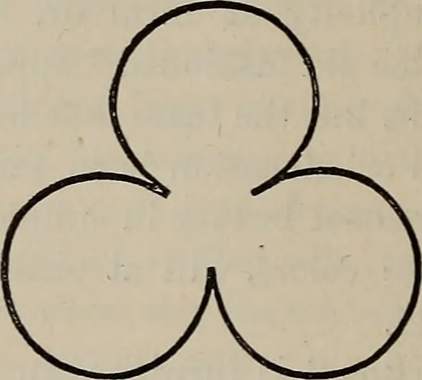An illustration from Beautiful homes : or, Hints in house furnishing, 1878, leaf 141