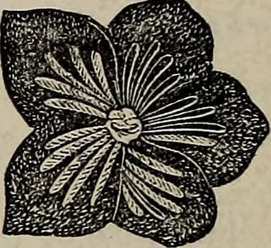An illustration from Beautiful homes : or, Hints in house furnishing, 1878, leaf 155