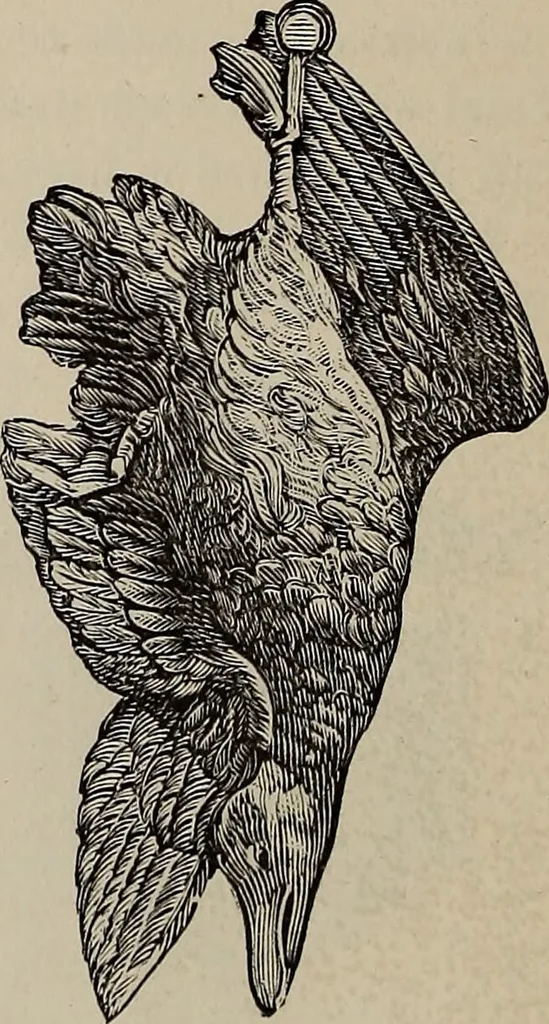 An illustration from Beautiful homes : or, Hints in house furnishing, 1878, leaf 169