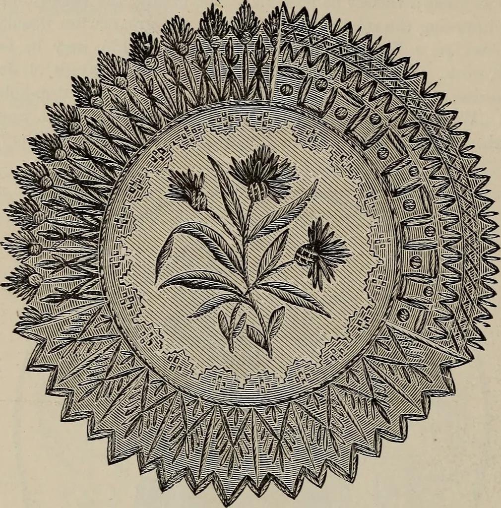 An illustration from Beautiful homes : or, Hints in house furnishing, 1878, leaf 205