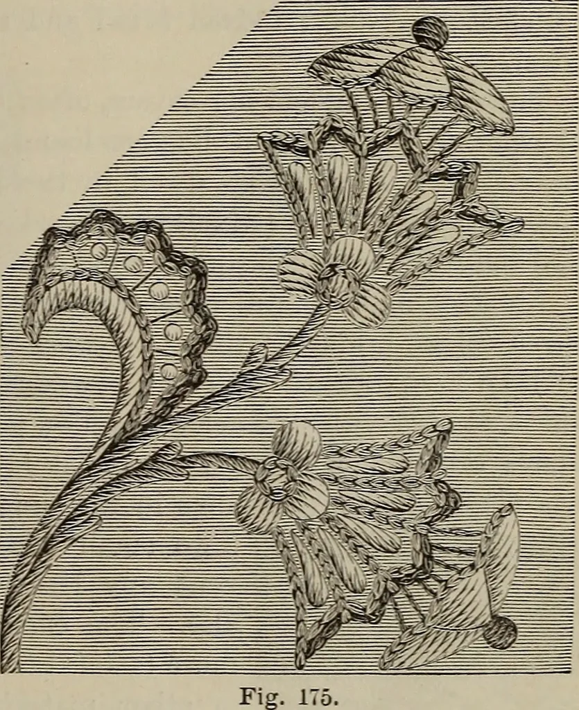 An illustration from Beautiful homes : or, Hints in house furnishing, 1878, leaf 212