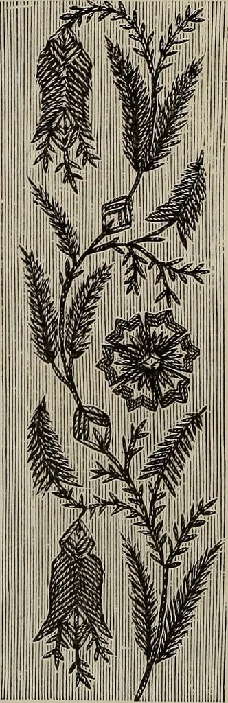 An illustration from Beautiful homes : or, Hints in house furnishing, 1878, leaf 214