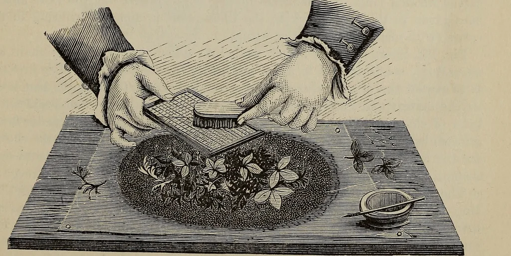 An illustration from Beautiful homes : or, Hints in house furnishing, 1878, leaf 220