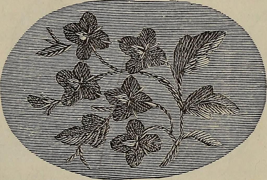 An illustration from Beautiful homes : or, Hints in house furnishing, 1878, leaf 238