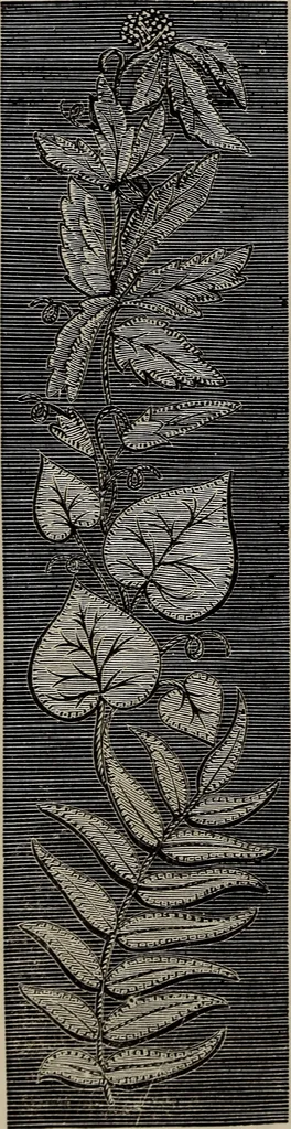 An illustration from Beautiful homes : or, Hints in house furnishing, 1878, leaf 253