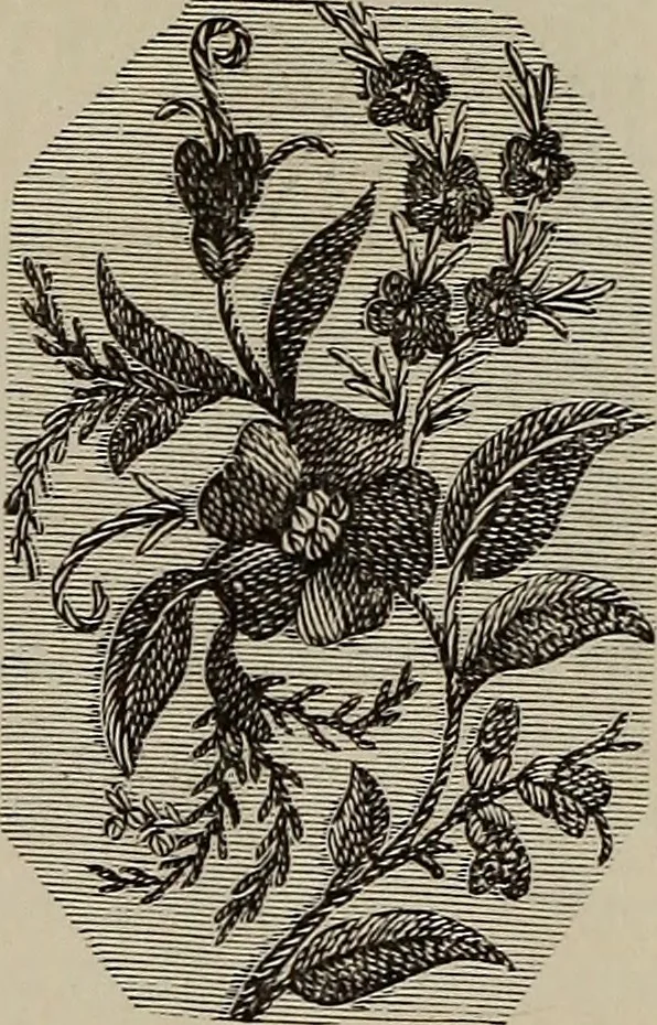 An illustration from Beautiful homes : or, Hints in house furnishing, 1878, leaf 276
