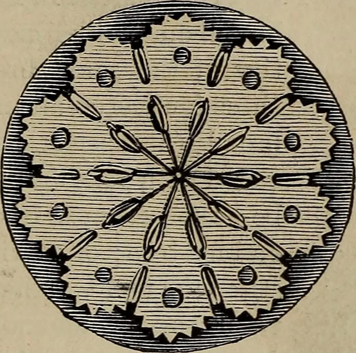 An illustration from Beautiful homes : or, Hints in house furnishing, 1878, leaf 286