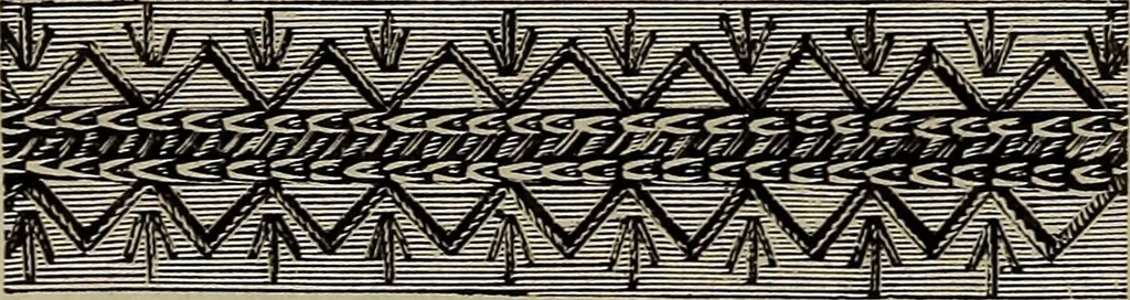 An illustration from Beautiful homes : or, Hints in house furnishing, 1878, leaf 286