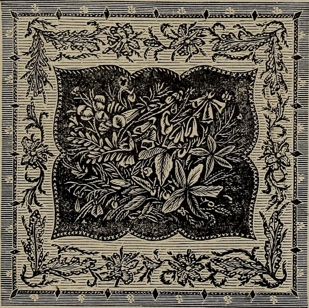 An illustration from Beautiful homes : or, Hints in house furnishing, 1878, leaf 288