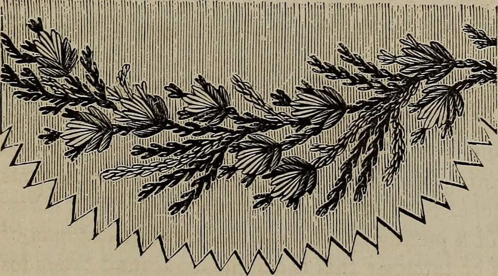 An illustration from Beautiful homes : or, Hints in house furnishing, 1878, leaf 298