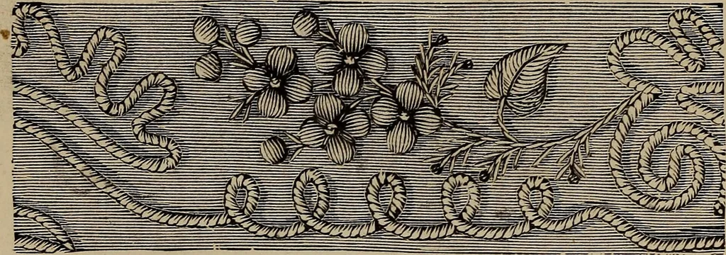 An illustration from Beautiful homes : or, Hints in house furnishing, 1878, leaf 318