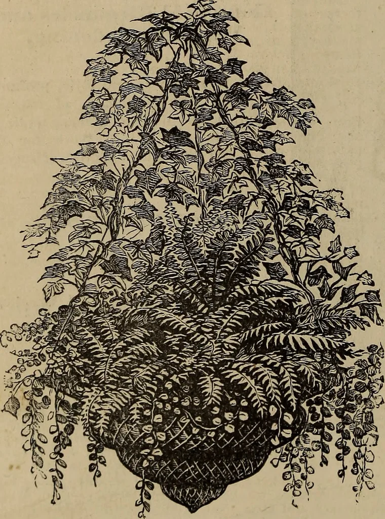 An illustration from Beautiful homes : or, Hints in house furnishing, 1878, leaf 323