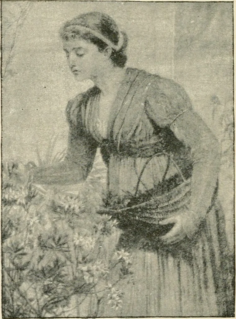 An illustration from Beauty of form and grace of vesture, 1892, leaf 215