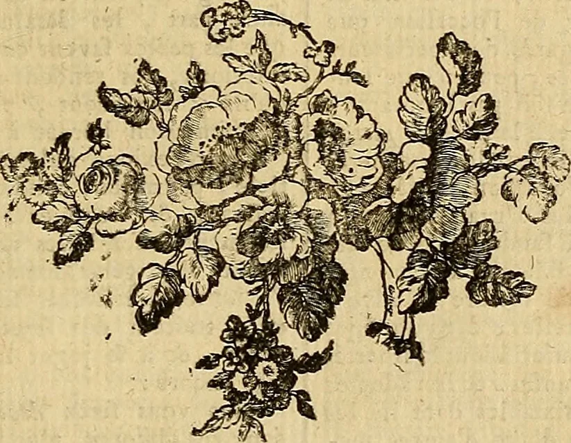 An illustration from Beaux-arts, 1788, leaf 308