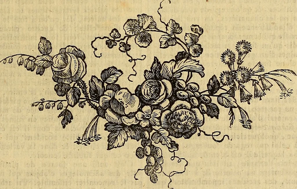 An illustration from Beaux-arts, 1788, leaf 418