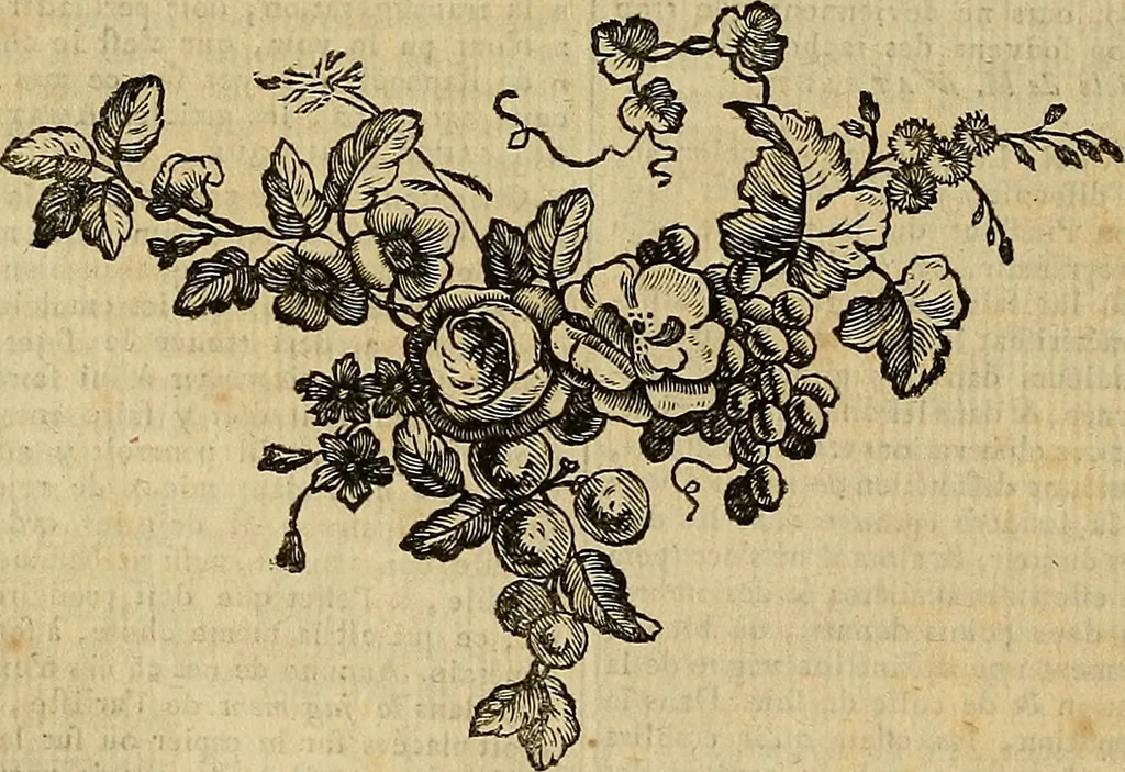 An illustration from Beaux-arts, 1788, leaf 597