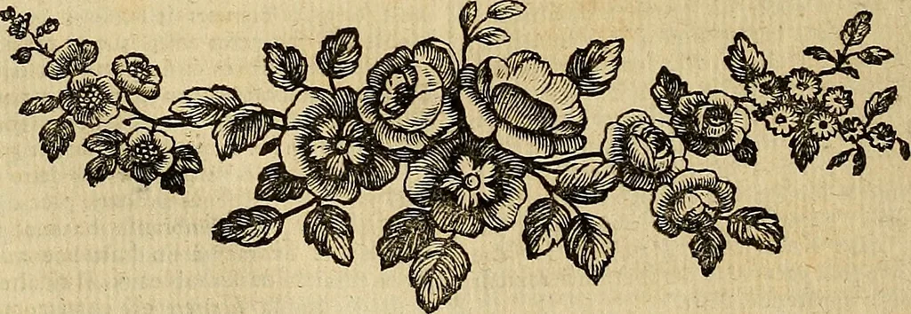 An illustration from Beaux-arts, 1788, leaf 613