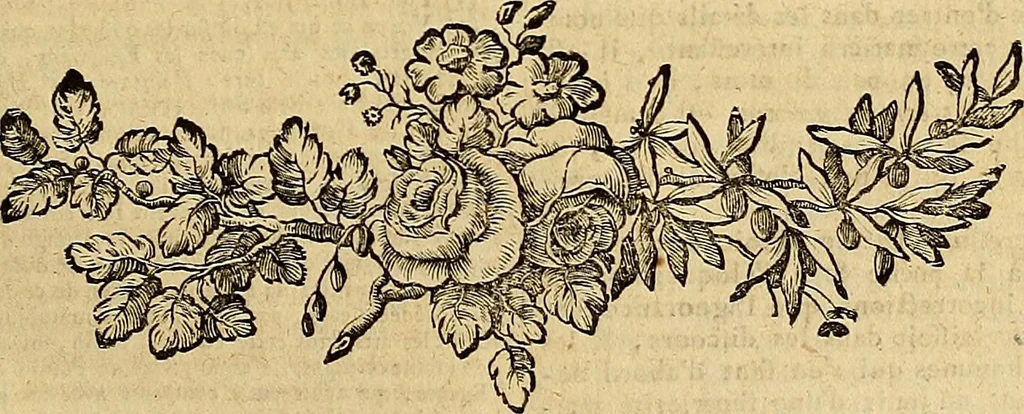 An illustration from Beaux-arts, 1788, leaf 246