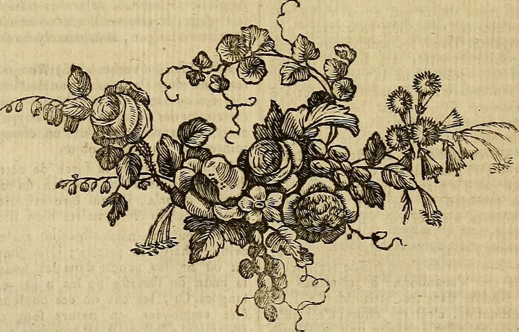 An illustration from Beaux-arts, 1788, leaf 281