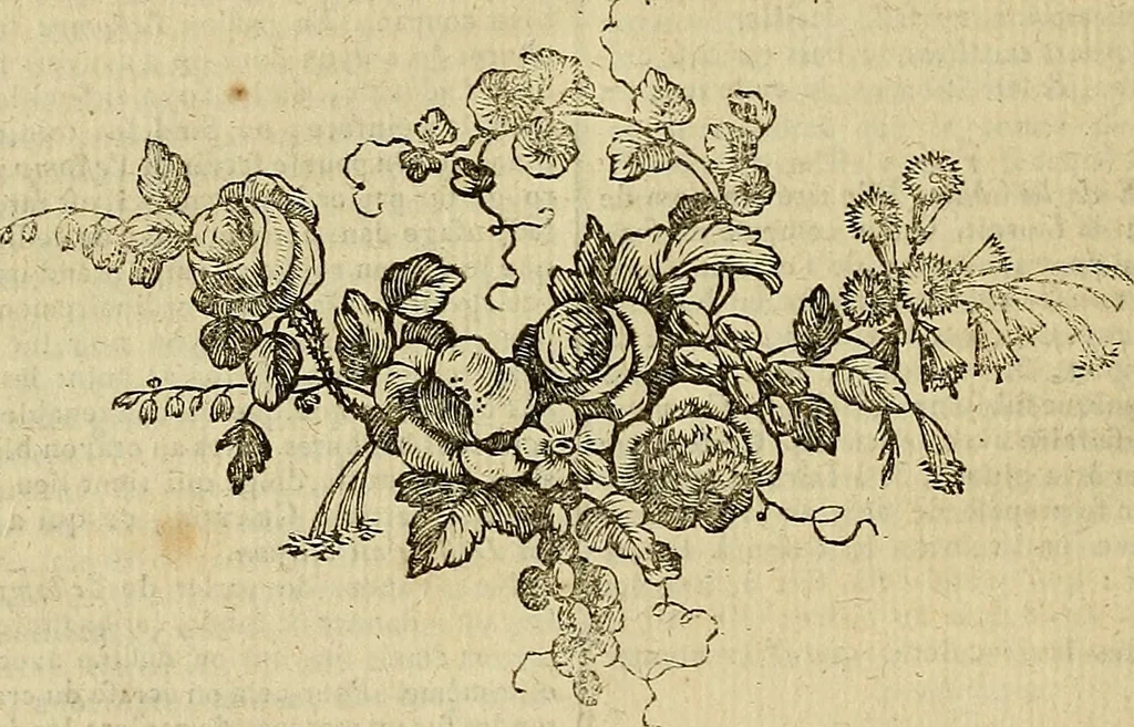 An illustration from Beaux-arts, 1788, leaf 563