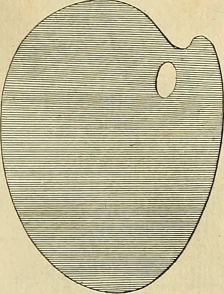 An illustration from Beaux-arts, 1788, leaf 158
