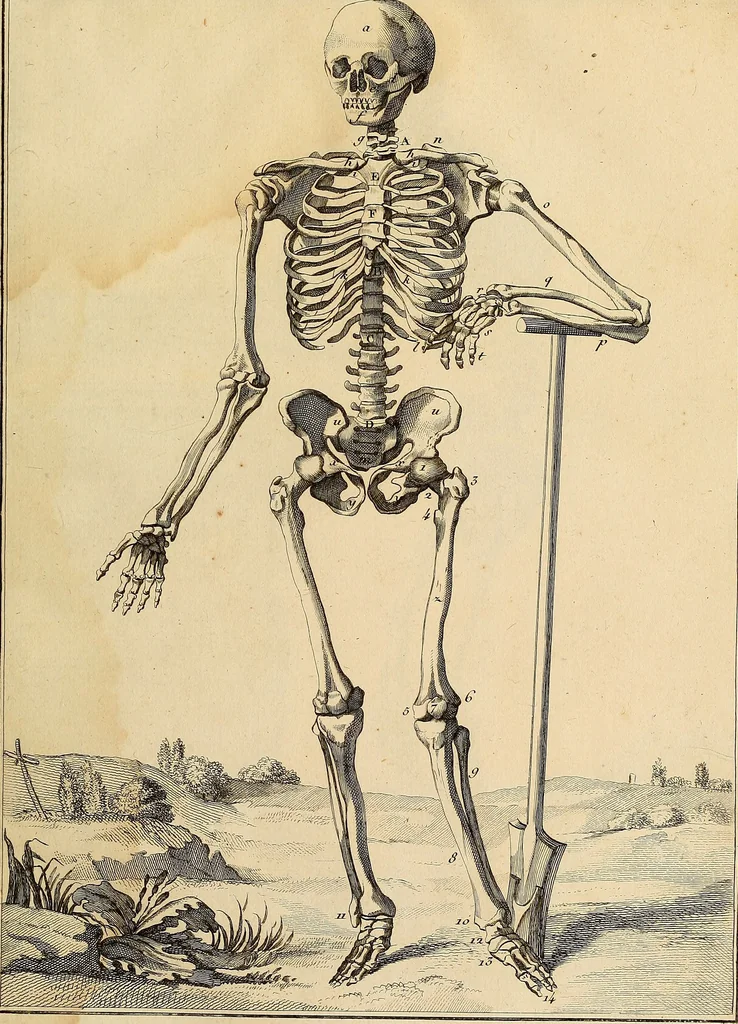 An illustration from Beaux-arts, 1788, leaf 16