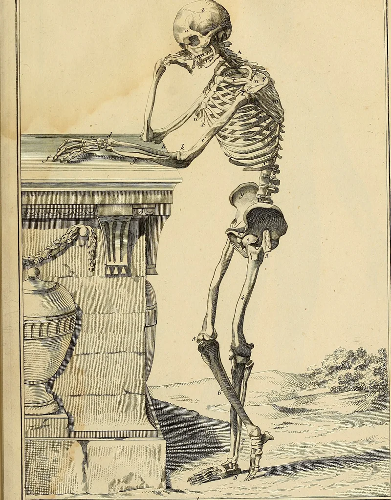 An illustration from Beaux-arts, 1788, leaf 18
