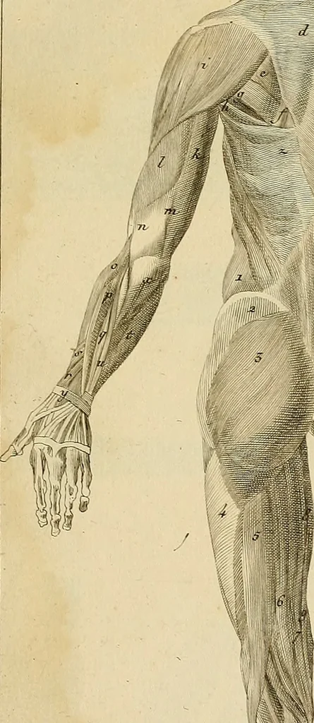 An illustration from Beaux-arts, 1788, leaf 22